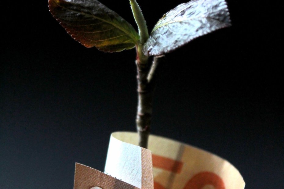 Valuation_ Saiba Quanto Vale Sua Empresa